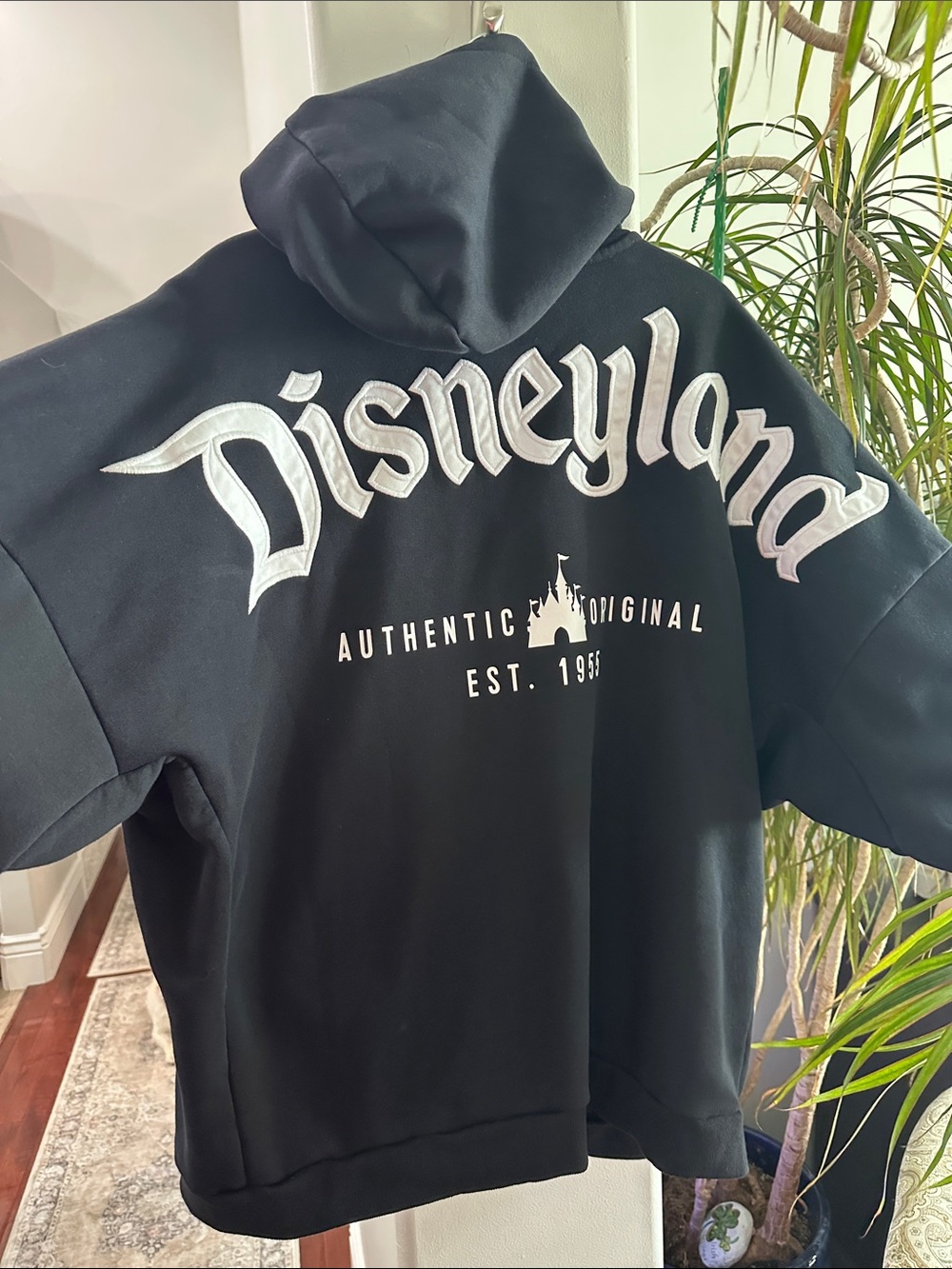Disney Black Men's Zip-Up Hoodie with White Disneyland Script